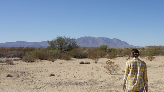 Finding Magic in the West Texas Desert