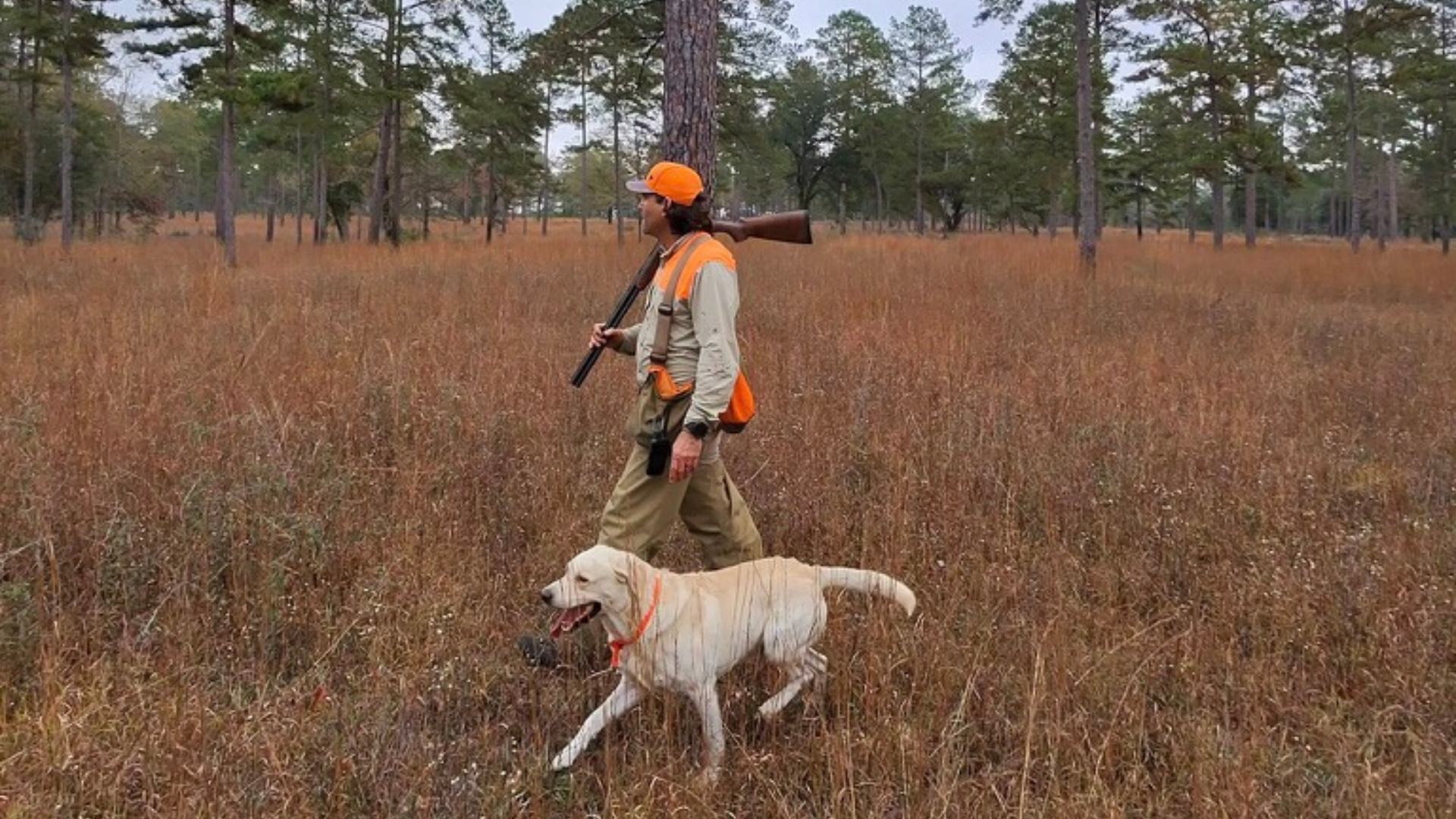 Opening Day: How to Prepare for Warm-Weather Dove Hunts
