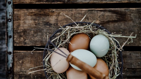 Easter in the Field: Tradition, Feasts & Time Well Spent