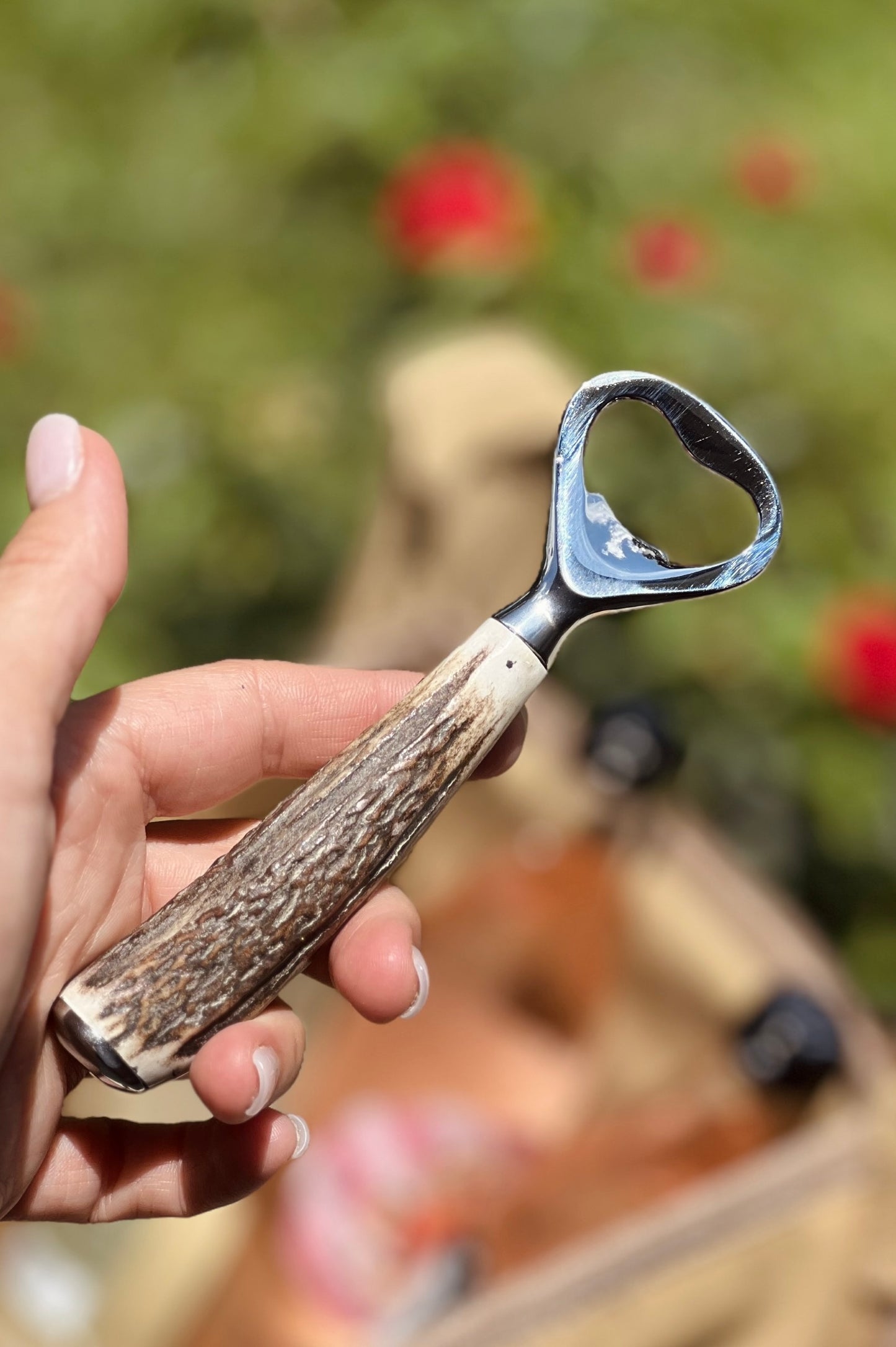Naturally Shed Stag Horn Bottle Opener