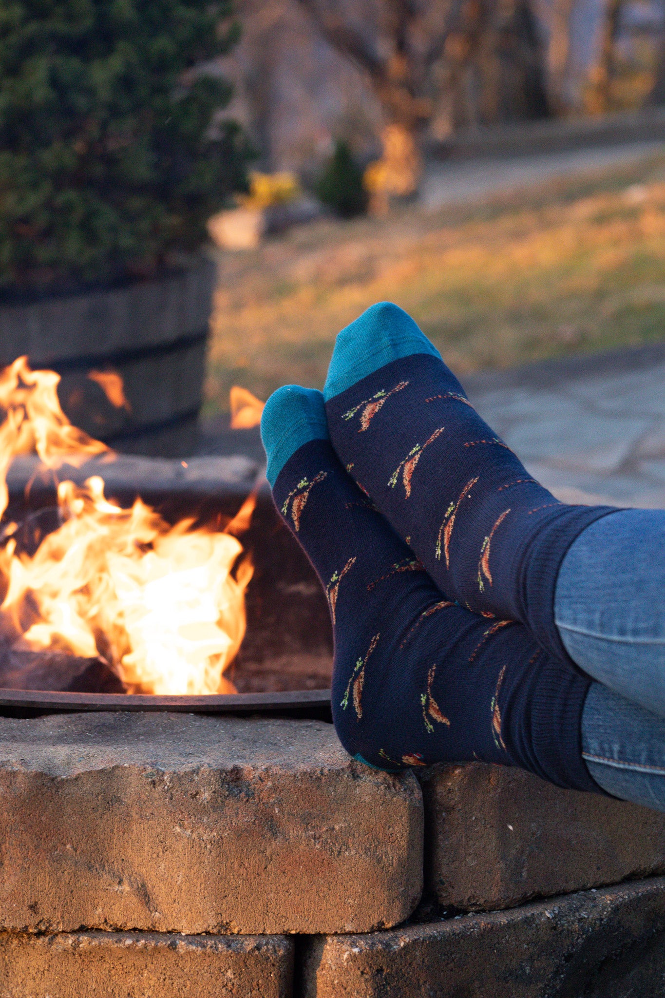 Pheasant Motif Socks - Blue