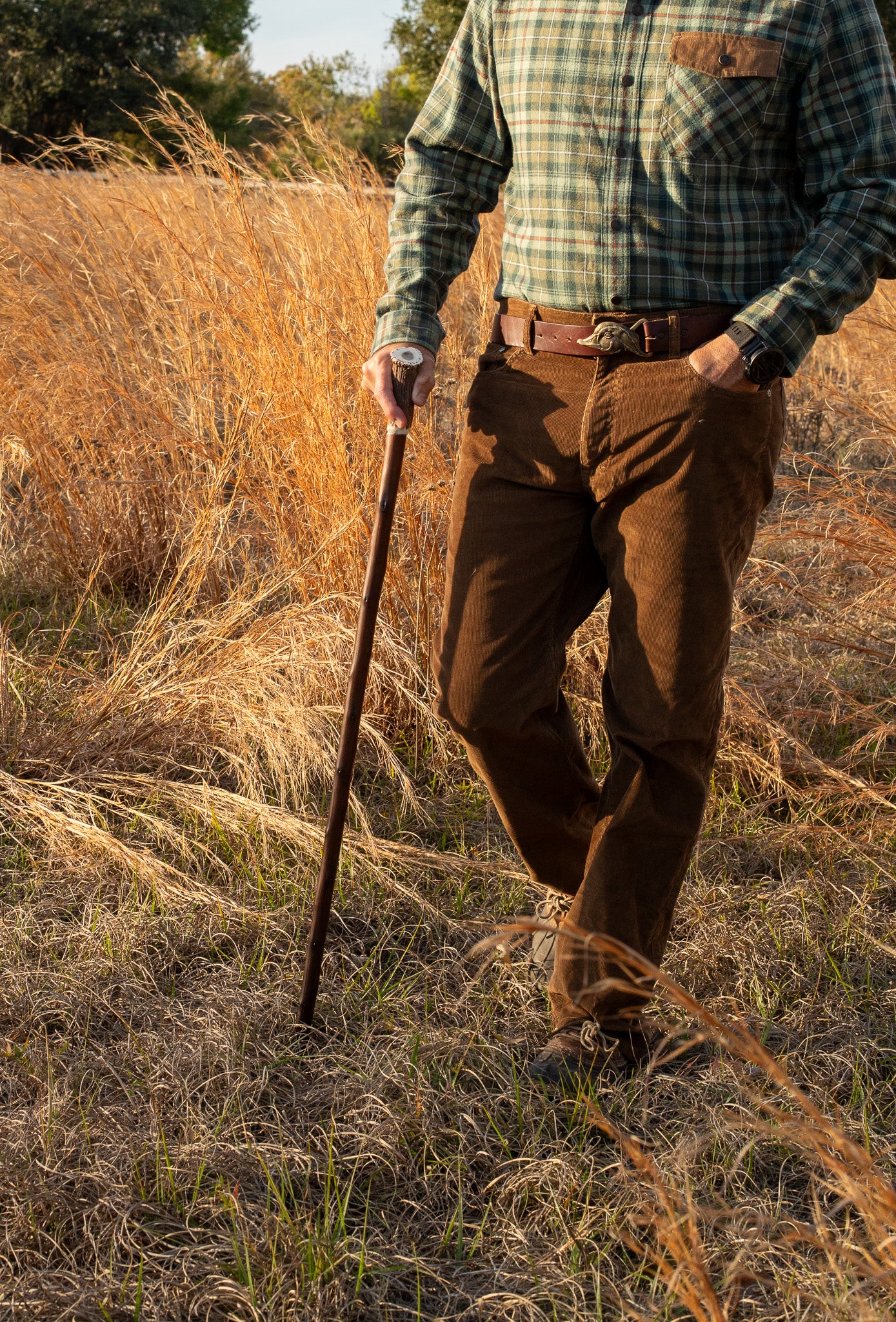 Staghorn Walking stick
