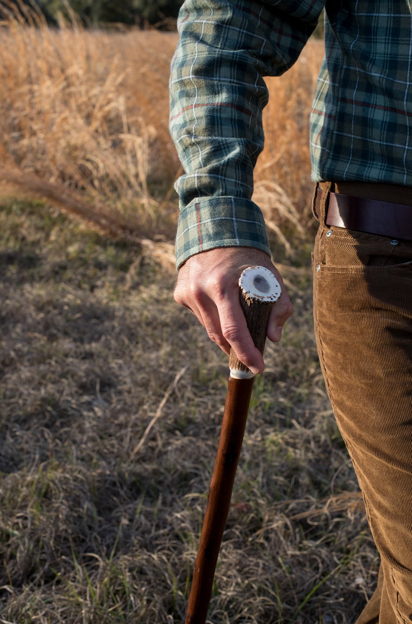 Staghorn Walking stick