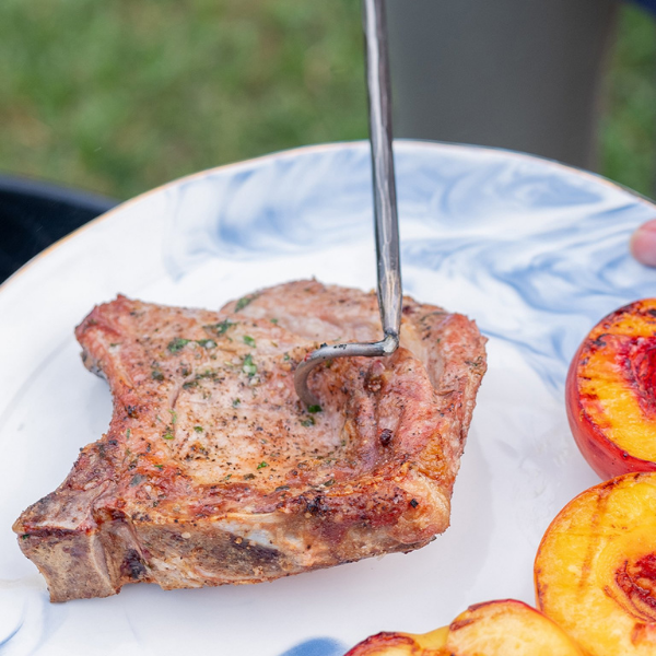 LONG REACH Pigtail Grill Tool