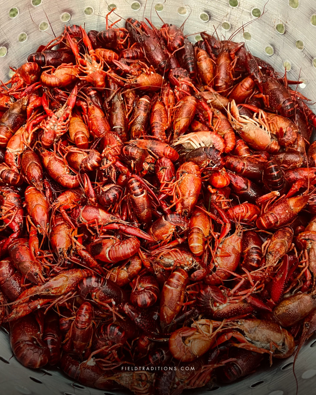 How to Host a Field Crawfish Boil