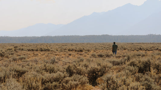 Field Traditions in Idaho: A Journey of Hunting, Adventure, and Connection