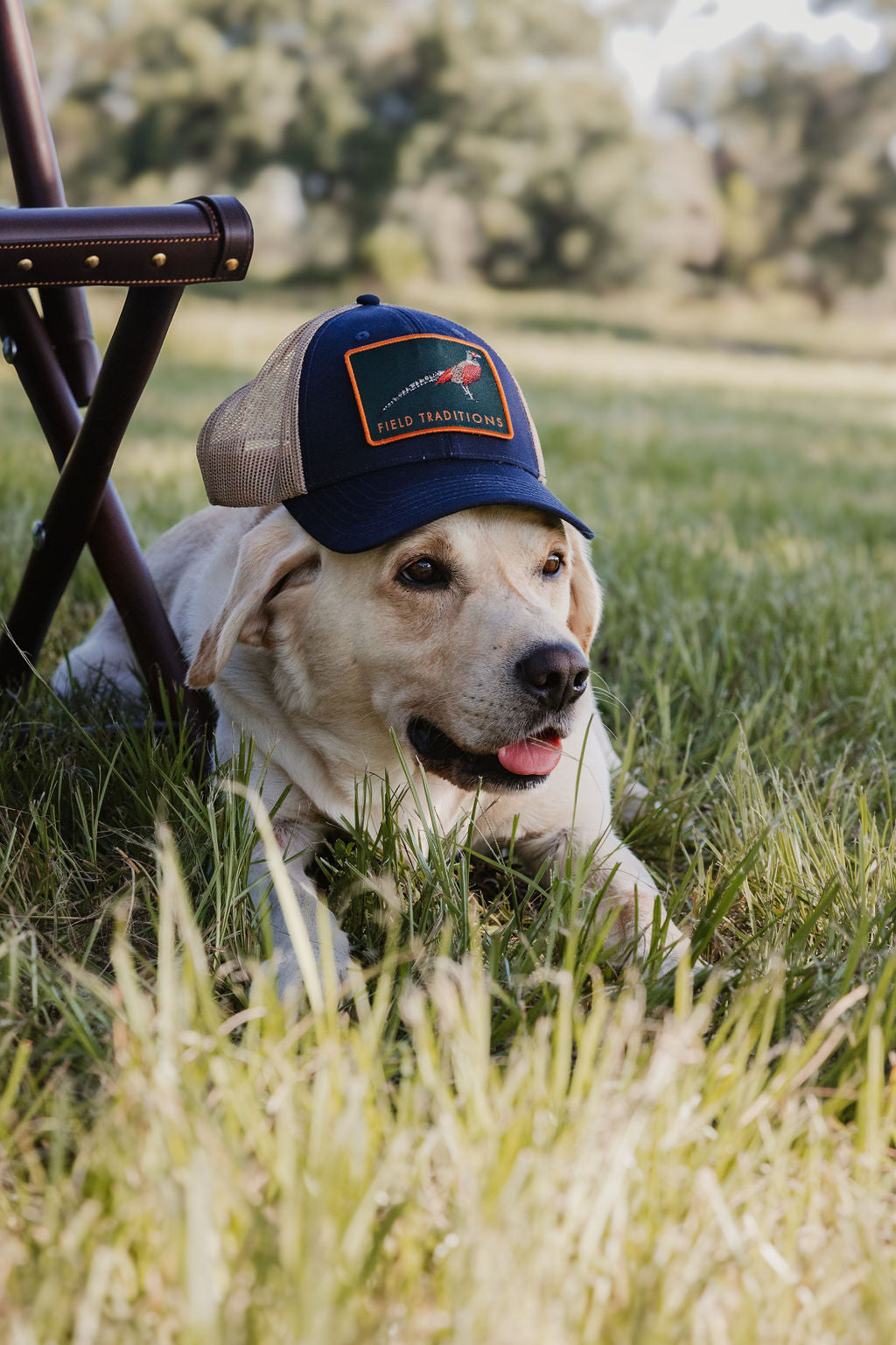 Field Traditions Navy Pheasant Trucker Ball Cap