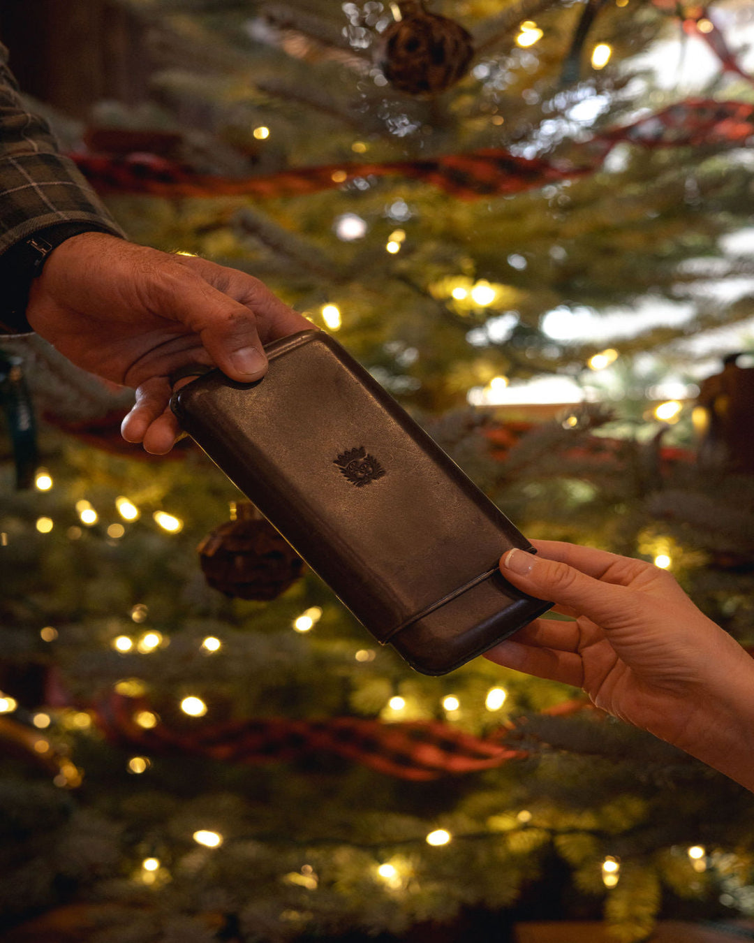 3 Cigar Leather Case