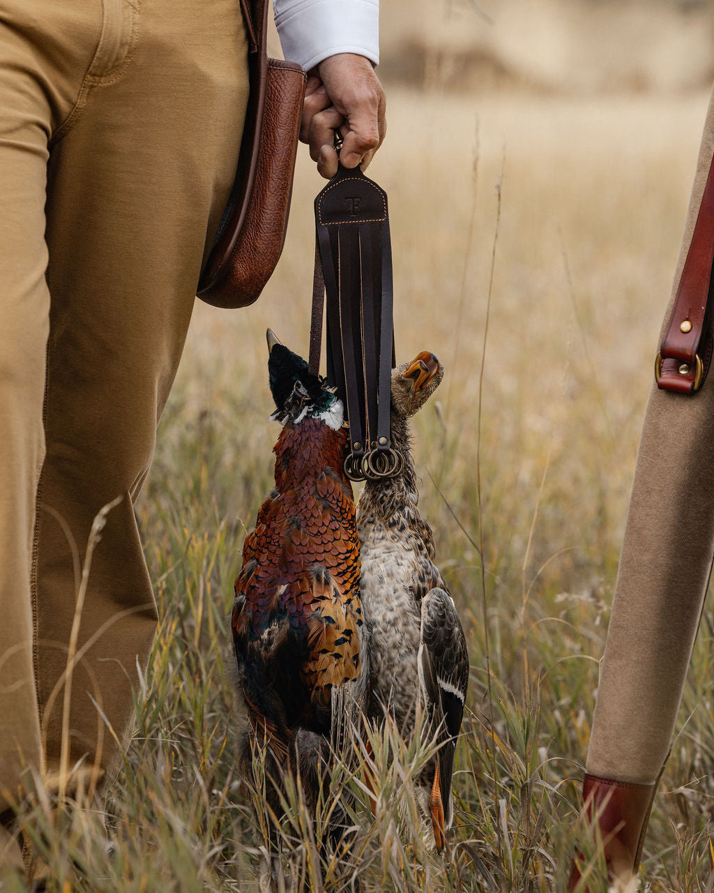 Person holding a shotgun with a pheasant in a field