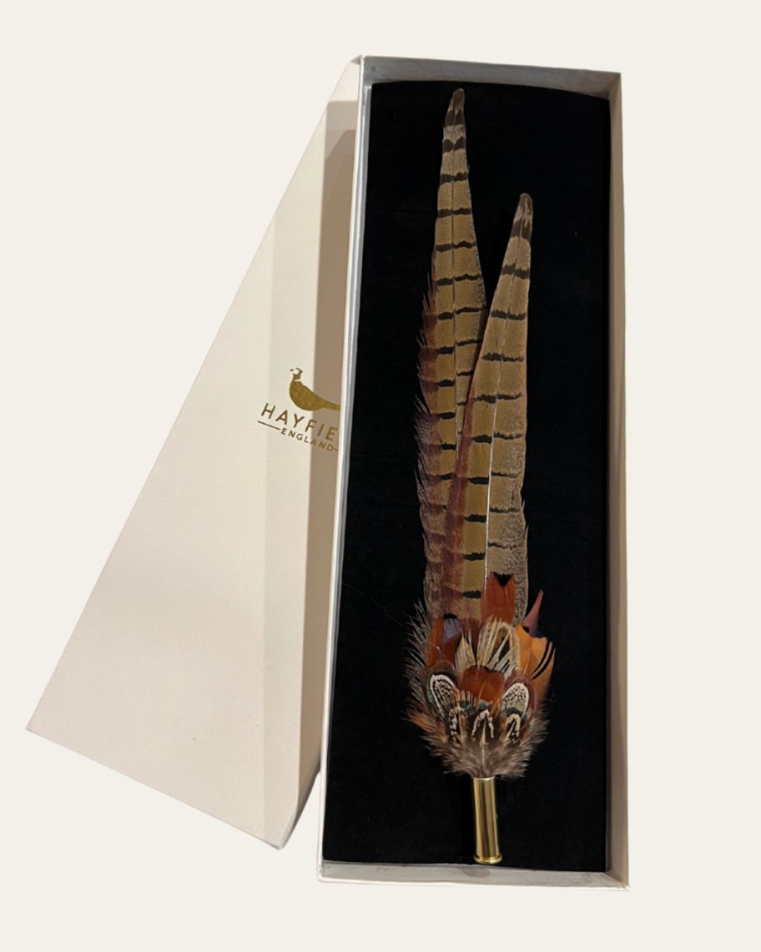 Two Long Pheasant Tail Pin