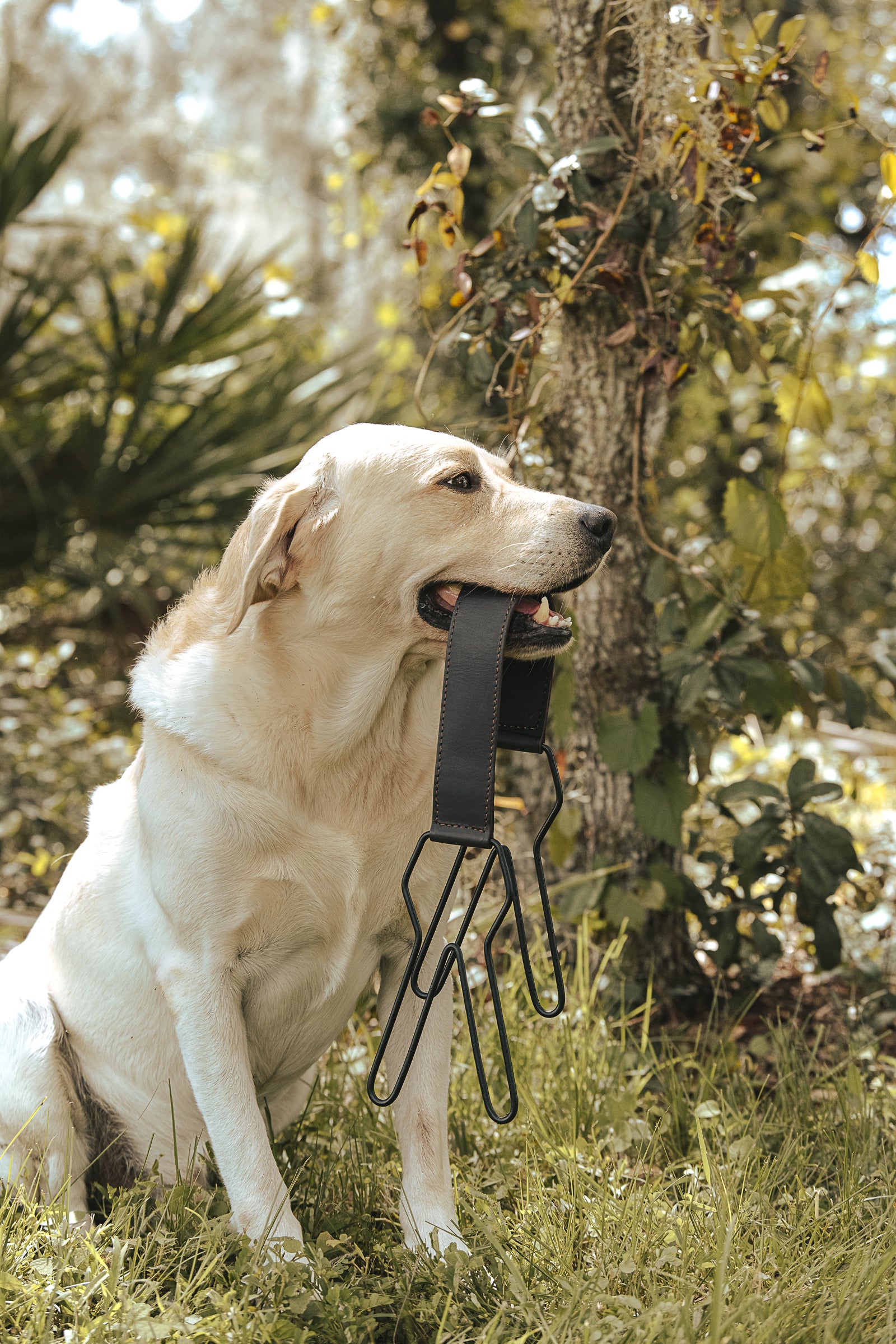 Leather Game Carrier